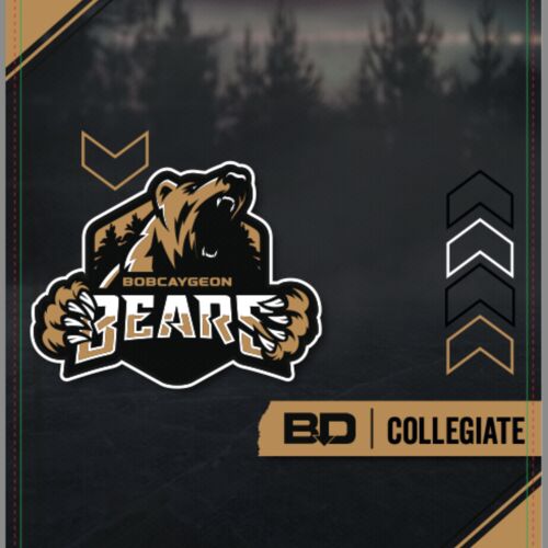Bobcaygeon Bears Collegiate Fabric Slip Thumbnail