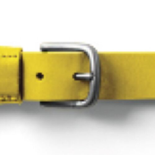 LWF Frenzy Softball Belt Thumbnail