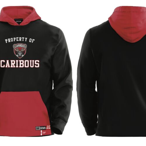 Clarenville Caribous Art Attack Streetwear Hoodie - Youth  Thumbnail