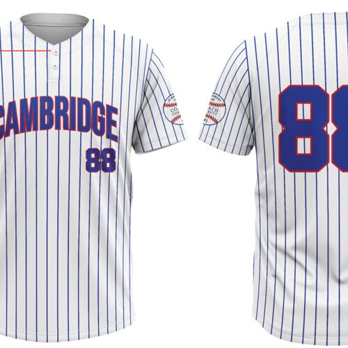 Cambridge Cubs Pinstripe Two-Button Baseball Jersey - Youth Thumbnail